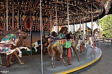 Carousel Caravan