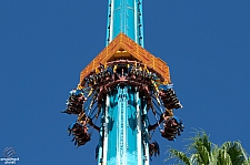 Falcon's Fury