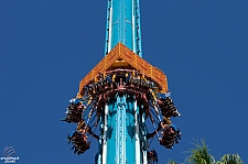 Falcon's Fury