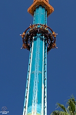 Falcon's Fury