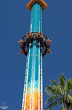Falcon's Fury