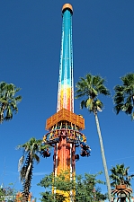 Falcon's Fury