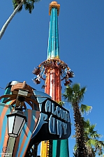 Falcon's Fury