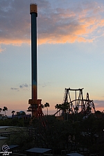 Falcon's Fury