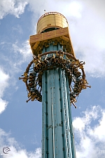 Falcon's Fury