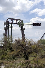 Serengeti Flyer