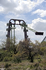 Serengeti Flyer