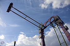 Serengeti Flyer