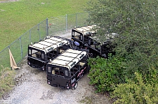 Rhino Rally