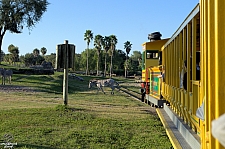 Serengeti Express