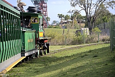 Serengeti Express