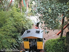 Serengeti Express