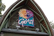 Gwazi