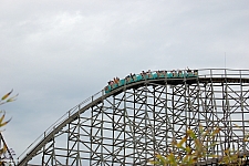 Gwazi