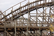 Gwazi