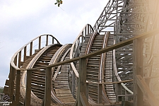 Gwazi