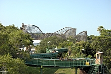 Gwazi