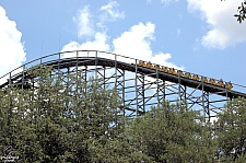 Gwazi