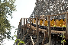 Gwazi