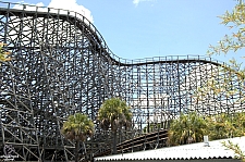 Gwazi