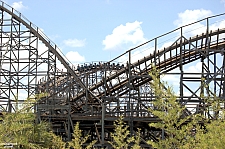 Gwazi