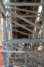 Gwazi