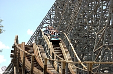 Gwazi