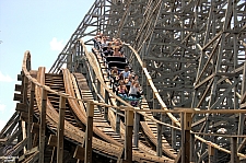 Gwazi