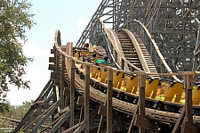 Gwazi