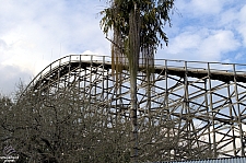 Gwazi