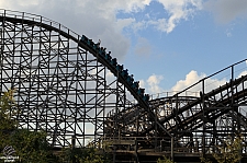 Gwazi