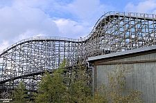 Gwazi