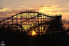 Gwazi