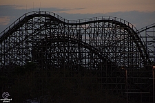 Gwazi