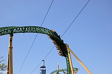 Cheetah Hunt