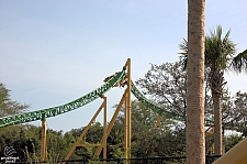 Cheetah Hunt