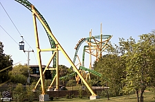 Cheetah Hunt