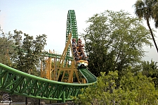 Cheetah Hunt