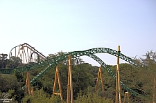 Cheetah Hunt