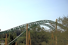 Cheetah Hunt