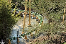 Cheetah Hunt