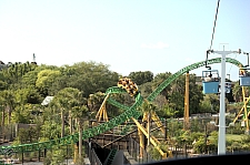 Cheetah Hunt