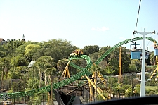 Cheetah Hunt