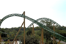 Cheetah Hunt