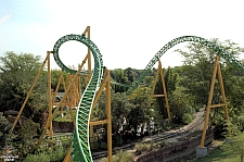 Cheetah Hunt