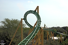 Cheetah Hunt