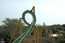 Cheetah Hunt