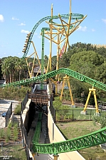 Cheetah Hunt