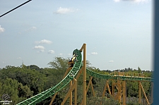 Cheetah Hunt