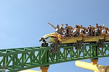 Cheetah Hunt